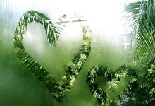 天涯社区阴间：那些离谱到让人直呼不敢相信的故事！