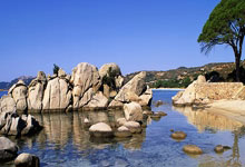 天涯社区装修日记：小窝变身记，乐在其中但满是汗水！